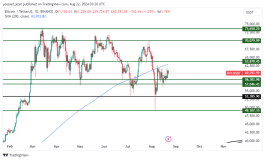 BTC - 22 اغسطس 2024