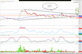 Union Real Estate shares