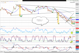 The general index of Dubai market