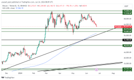 BTC - 24 يونيو 2024