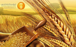 Saudi Arabia buys 620 thousand tons of wheat