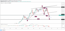 Technical Analysis of Petition for 20 May 2021