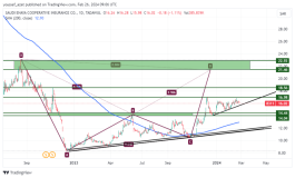 سهم عناية - 26 فبراير 2024