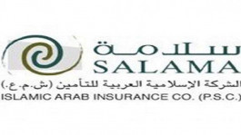Standard & Poor's raises Salama