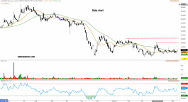 صناعة الورق (2300) - 18 مايو