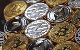 امرأة بلغارية تنفذ أكبر عملية نصب رقمية