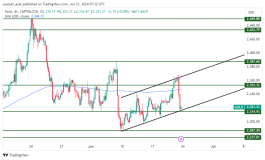 GOLD - 23 يونيو 2024