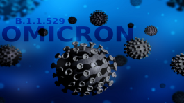 Omicron restores strict precautionary measures ahead of the Christmas holidays