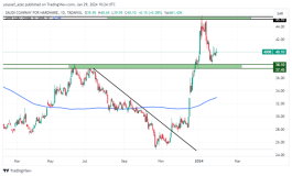 سهم ساكو - 29 يناير 2024