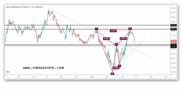 سهم سافكو السعودي وفرص الصعود