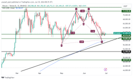 BTC - 30يونيو 2024
