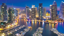 real estate sector contributes