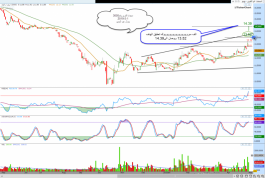 Umm Al-Qura Cement shares number 3005 in the Saudi market