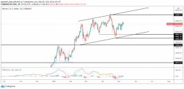Technical Analysis of the Petition for May 9, 2021