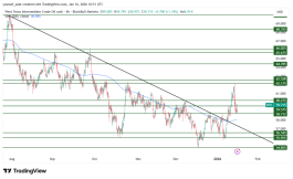 OIL - 16 يناير 2026