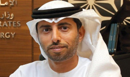 Al Mazrouei: Execution of 3 compounds in UAE worth exceeding two billion dirhams