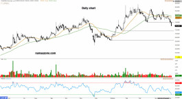 سهم الدريس (4200) - 12 مايو