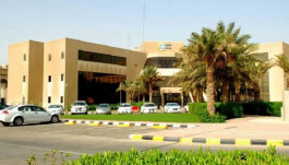 انخفاض الإيرادات يُقلص أرباح "سبكيم العالمية" 41.3% في 2020