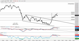 DFM Technical Report - 14 January