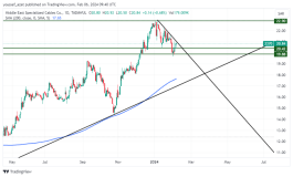 سهم مسك - 6 فبراير 2024