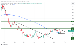 سهم ذيب - 22 يناير 2024