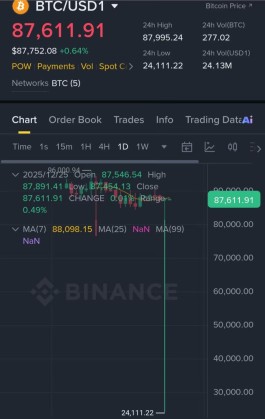 البيتكوين تسقط مؤقتًا إلى 24 ألف دولار في ثوانٍ.. ماذا يحدث في السوق؟