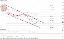 النفط يحاول التعافي