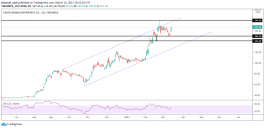 نظرة فنية على سهم المصافي