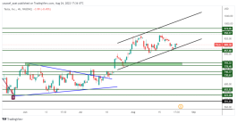 TSLA - 24 اغسطس 2022