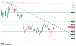 GOLD - 16 اكتوبر 2026