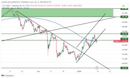 USDJPY - 14 يناير 2024
