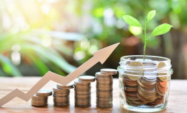 How to search for stocks and choose good investments