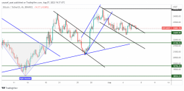 BTC - 7 اغسطس 2022