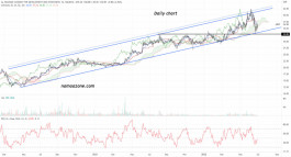 سهم شركة الحمادي للتنمية والاستثمار (4007) - 30 يونيه
