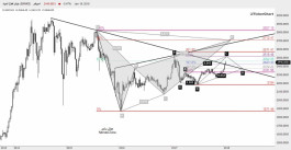 DFM Technical Report - 21 January