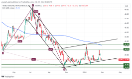 سهم ينساب - 29 فبراير 2024