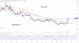 سهم فاراداي فيوتشر انتليجنت انك (FFIE) - 14 يوليو