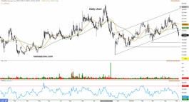 سهم مهارة 1831- 16 مايو