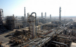 Petro Rabigh quarterly profit down 13%