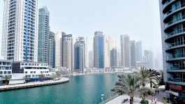 Dubai real estate actions