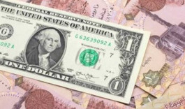 The dollar in Egypt jumps above 24 pounds