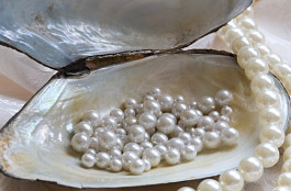 5% growth in pearl trade in Abu Dhabi during 2018