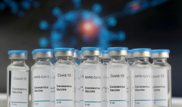 The dead cat leap for the biotechnology sector from 24 billion to a trillion dollars !!