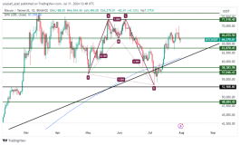 BTC - 31 يوليو 2024