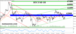 bitcoin 11 november