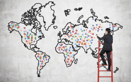  best model  for companies to expansion globally