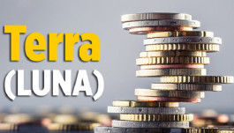 Terra price increases 20% due to payment of 3 factors