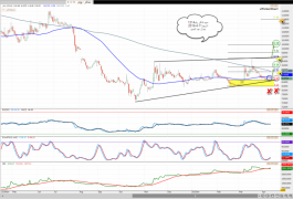 Shaker No. 1214 in the Saudi market