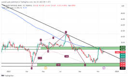 ثمار - 20 نوفمبر 2023
