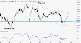 Amgen Inc Stock - August 13